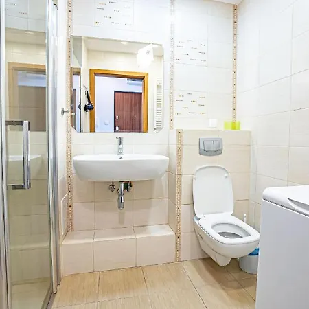 公寓 Z Tarasem Na Dachu - U Ani 詹塔尔